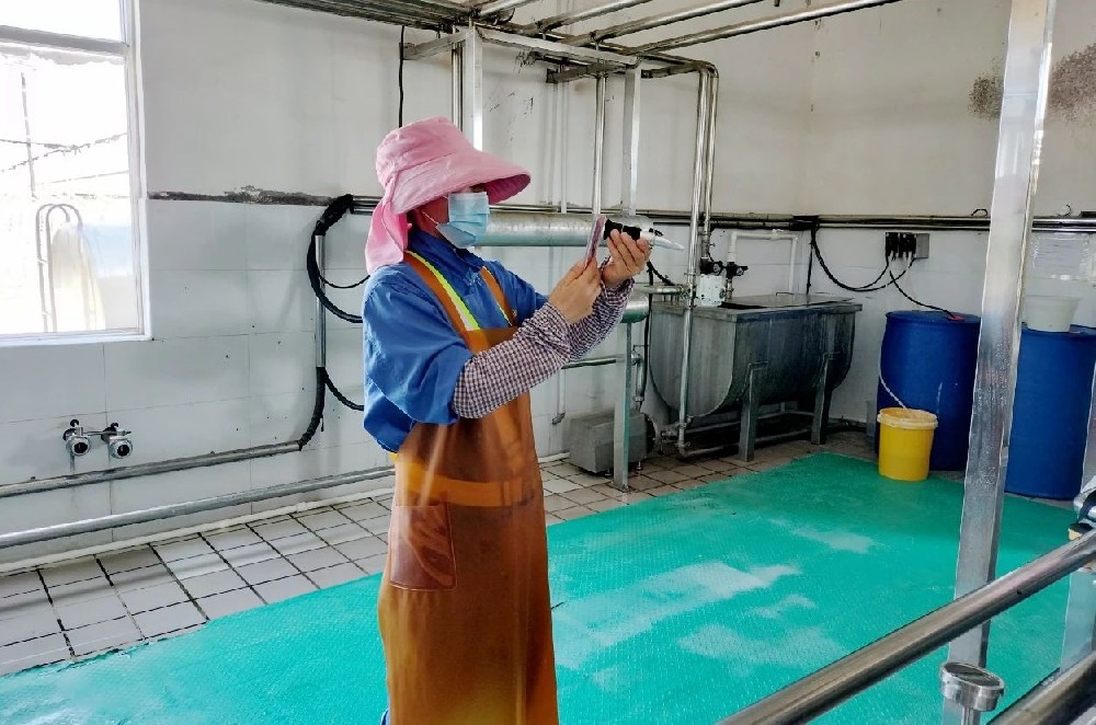 牧場故事多：愛與責任編織的溫馨篇章