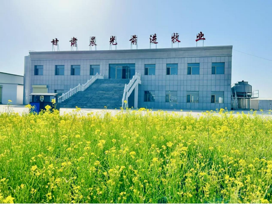 座談交流聽(tīng)心聲，文化潤(rùn)心聚合力